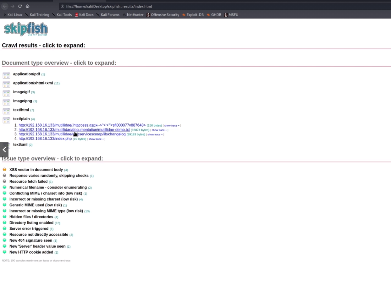 Informe escaneo skipfish