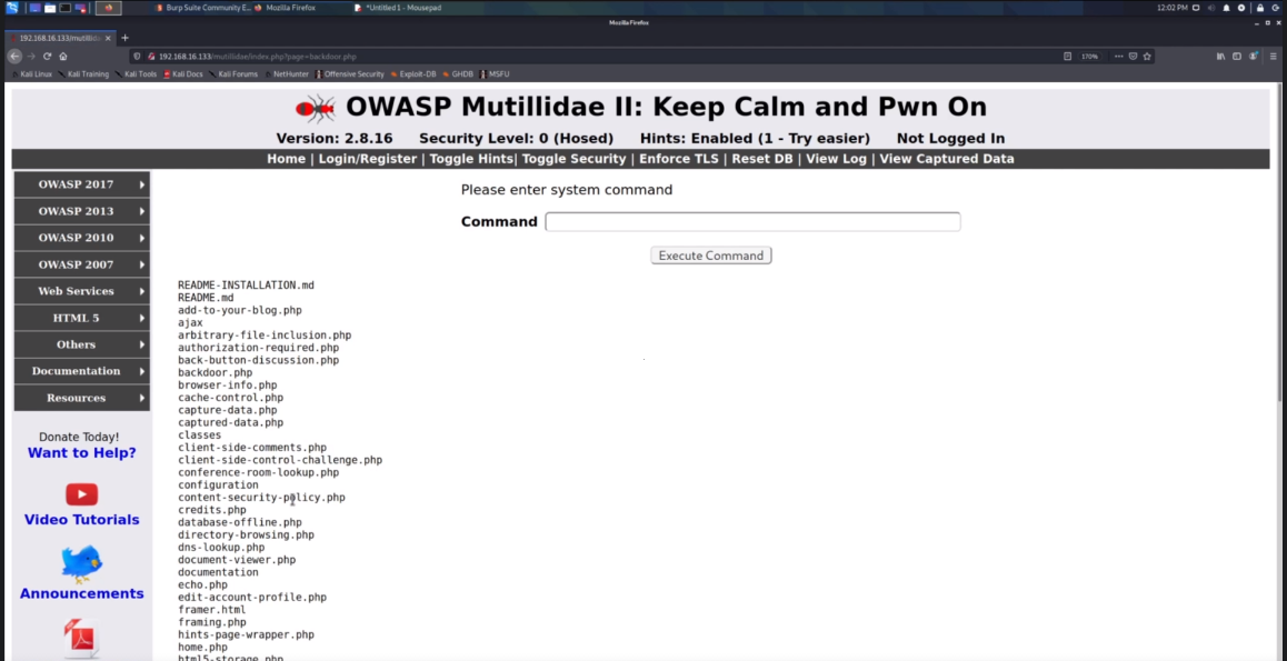 Ejecutando comandos en la webShell